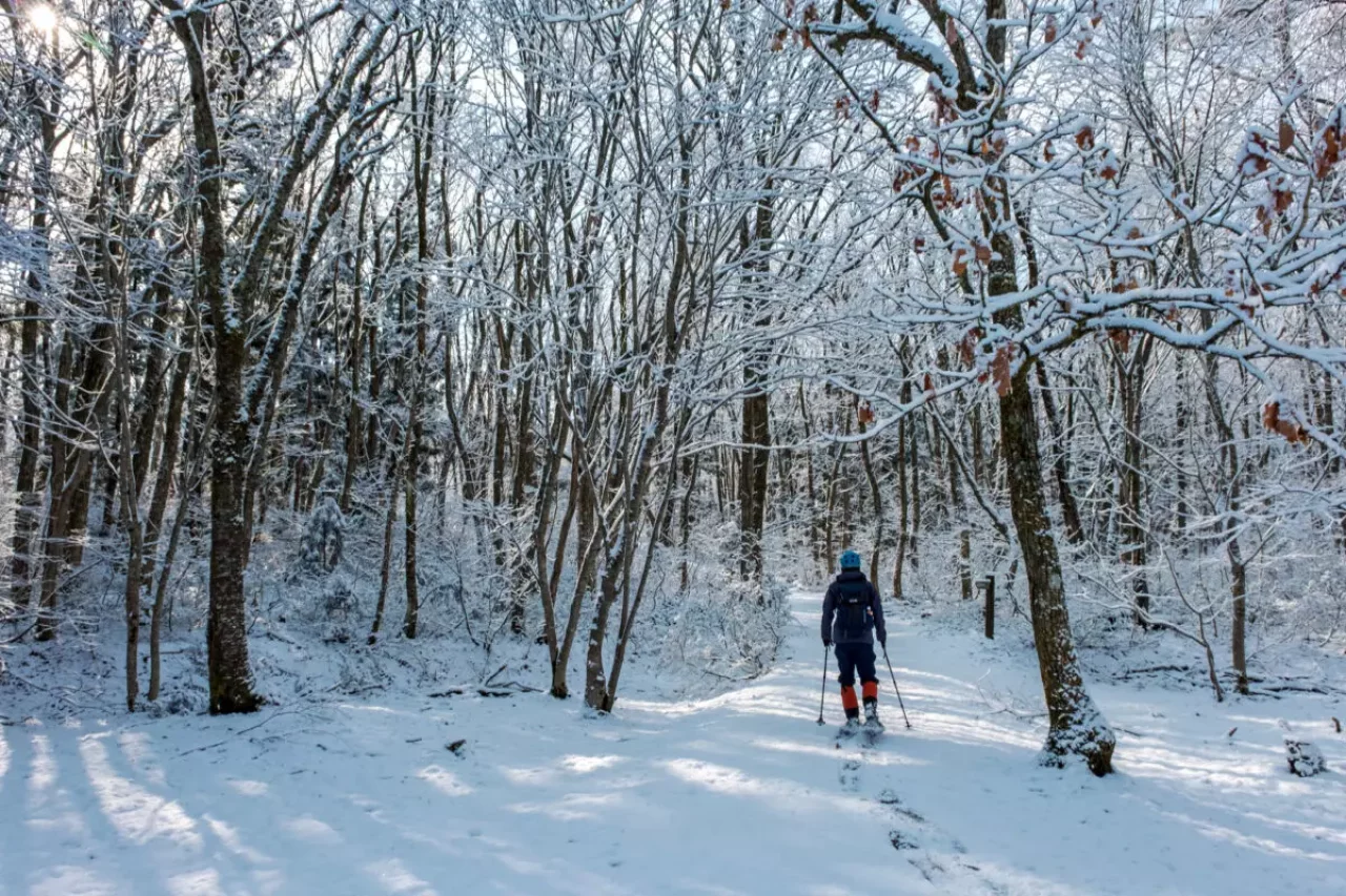 スノーシューハイクのイメージ