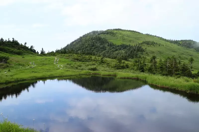 駒ノ大池からみる会津駒ヶ岳