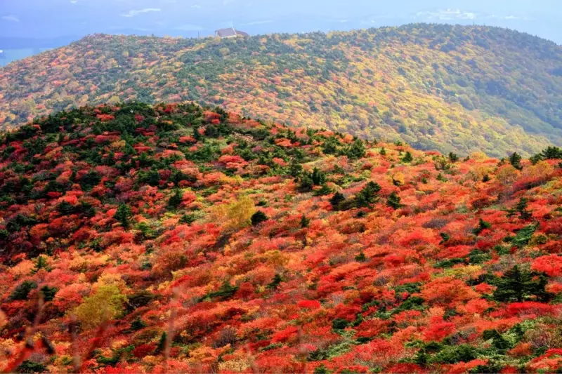 安達太良山から望む紅葉の山肌