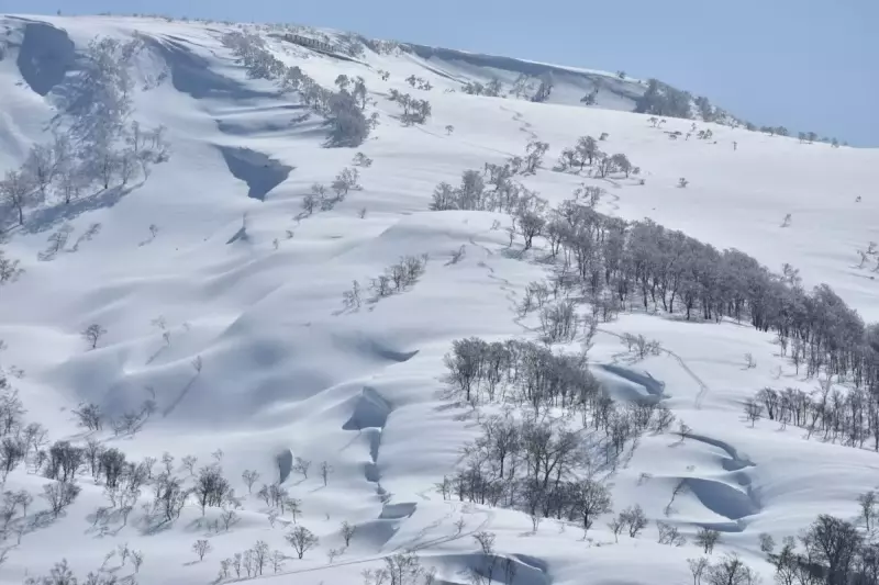 月山の雪景色