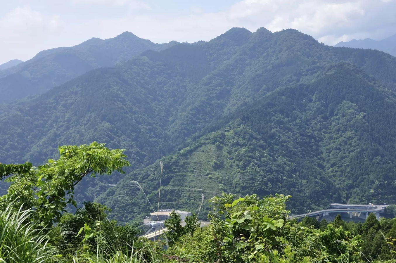 【日帰り登山】宮ケ瀬湖の絶景が楽しめる仏果山ハイキングの難易度別ルート紹介