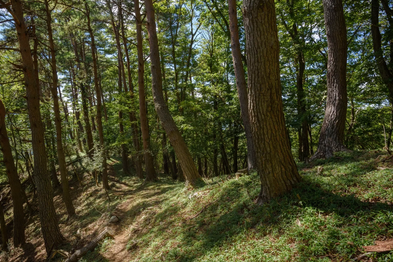 登山者必読!安全登山のための遭難リスク対策ガイド【徹底解説】