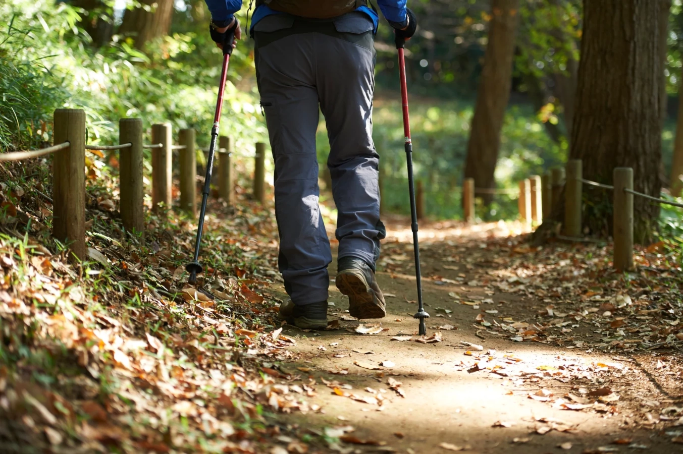 【2025年】信頼の相棒トレッキングポール厳選7モデルを比較