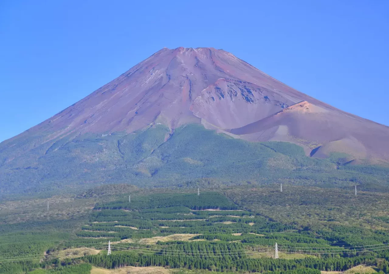 【初心者登山におすすめ】振り返れば富士山の眺めを満喫できる十里木コース
