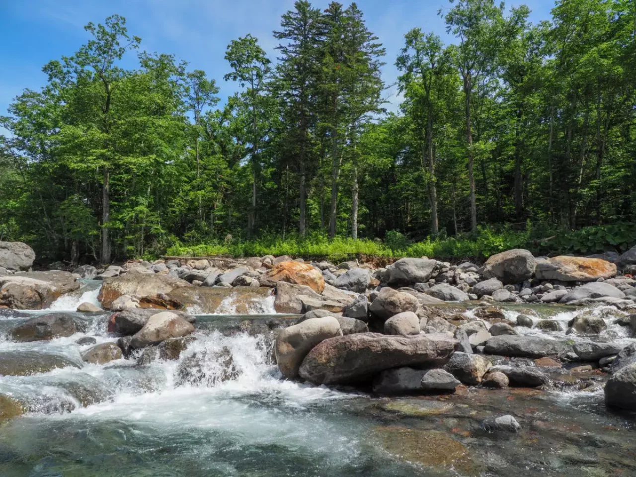 北海道 渓流