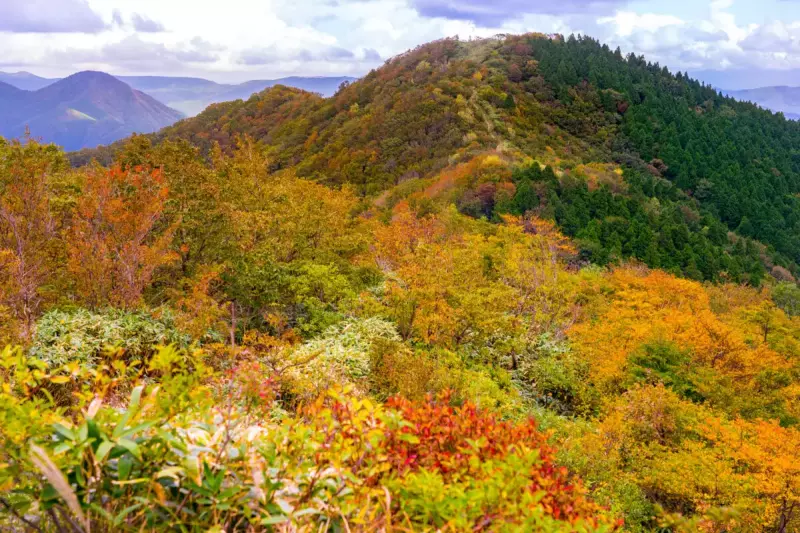 井水山~泉山縦走ルートから、泉山を見上げる