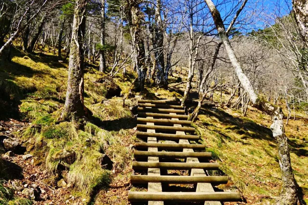 弥山 登山道