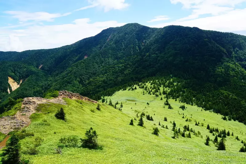 根子岳登山|難易度別・日帰りコース紹介【花と絶景を楽しむ】|ルート紹介から探す|登山・トレラン・山スキーマガジン「山旅旅」
