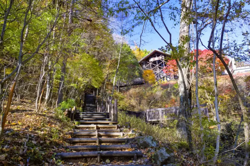 三頭山 都民の森