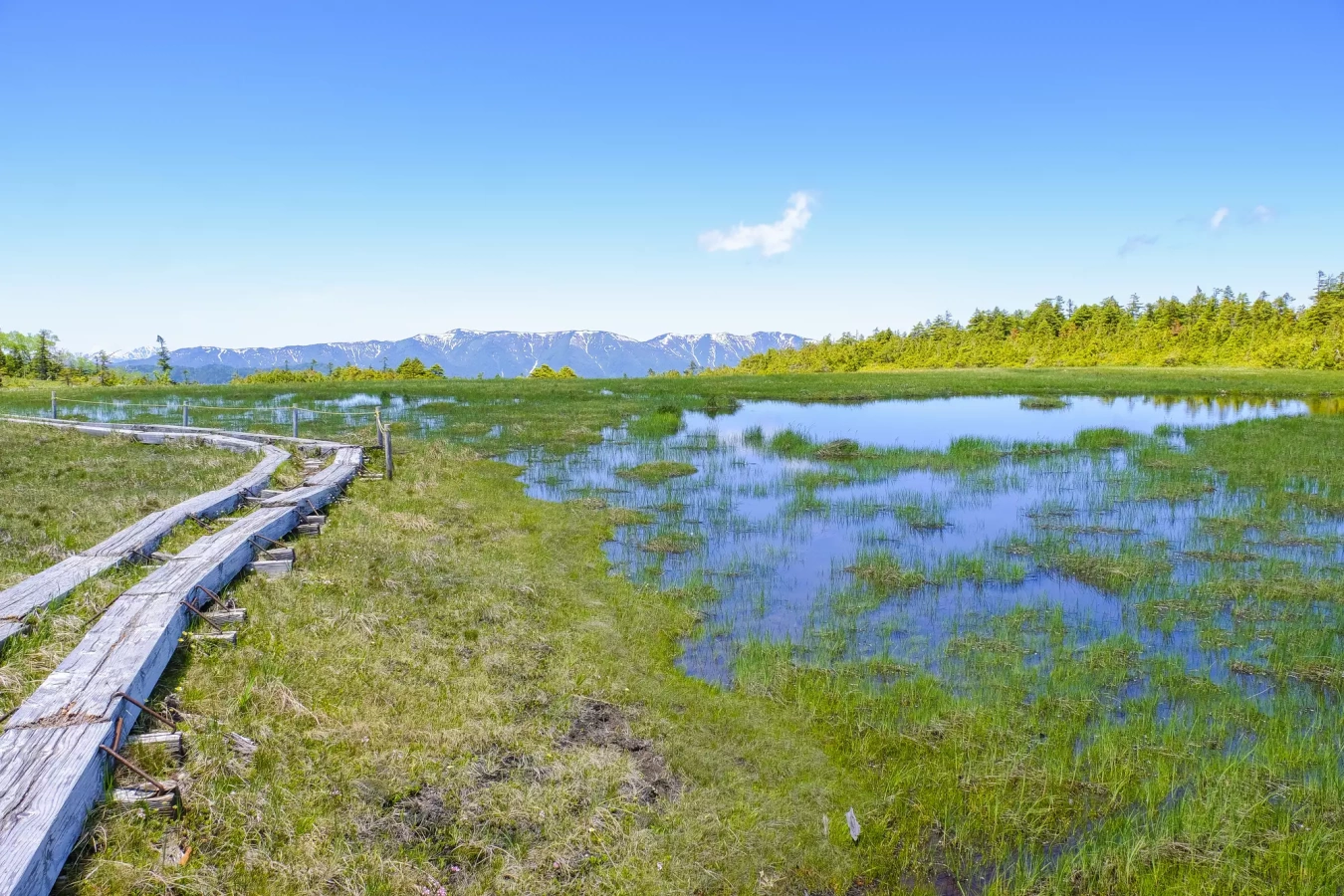 【日帰り登山】田代山の山頂は秘密の花園|初心者におすすめの難易度別ルート&登山口アクセス