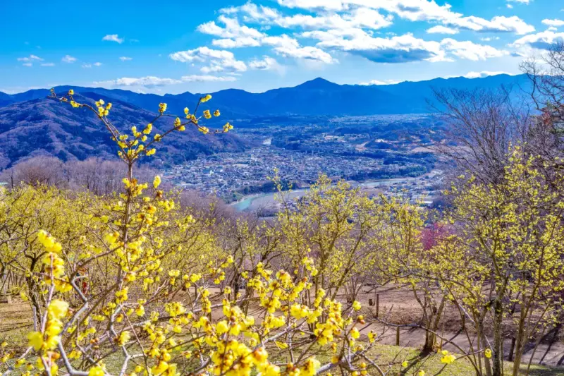 3月 登山 関東
