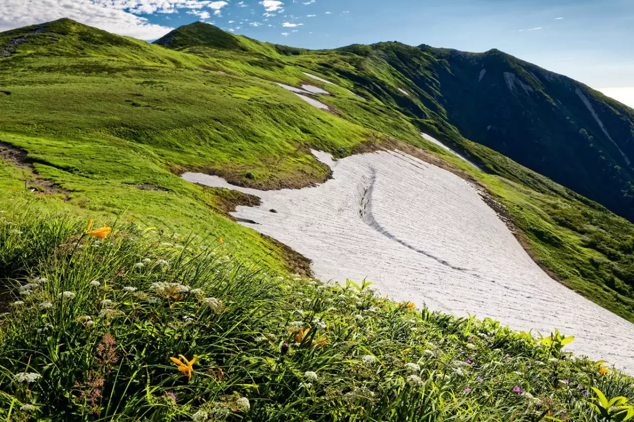 高山植物咲く夏の飯豊山稜線