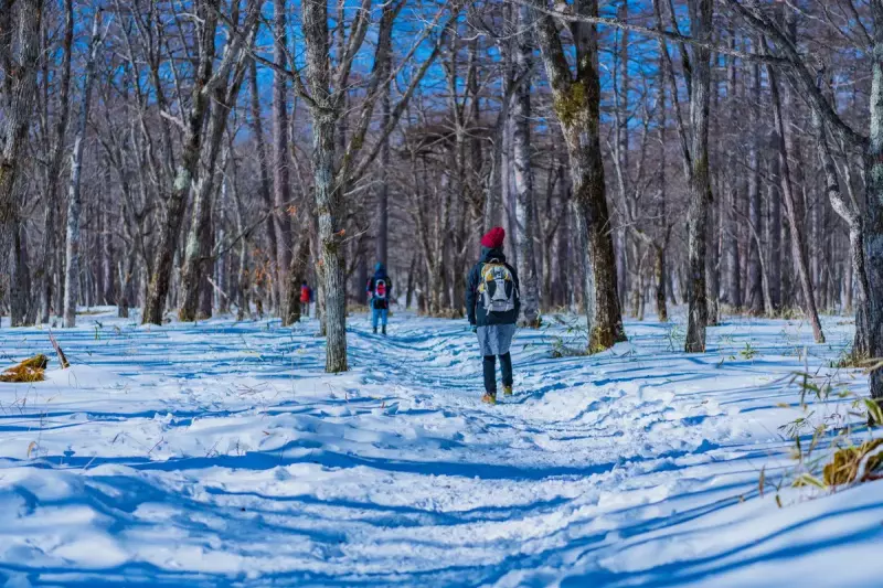冬の登山用ベースレイヤー-選び方とメーカー別おすすめモデル|ベースレイヤー・Tシャツ|登山ウェア|山のモノ|登山・トレラン・山スキーマガジン「山旅旅」