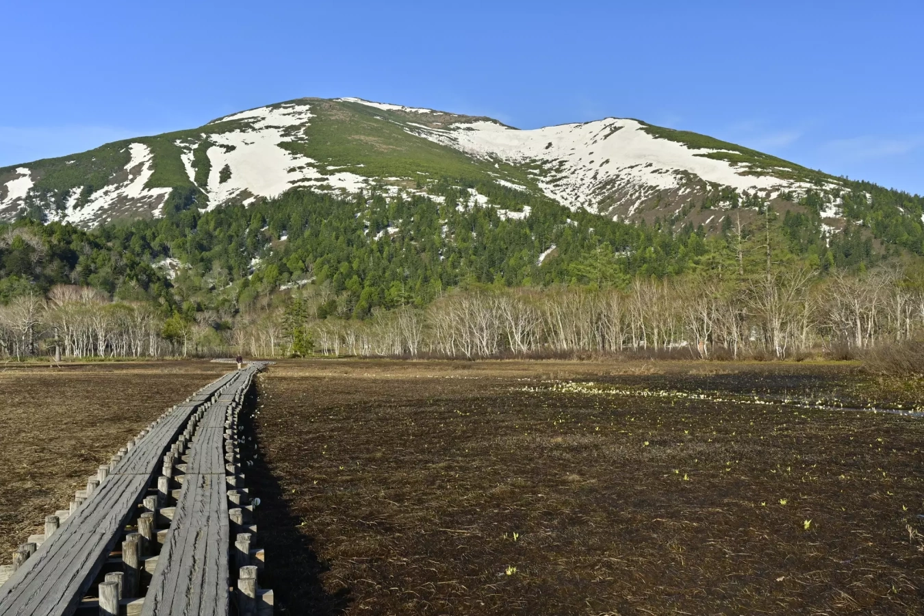 【日帰り登山】至仏山登山-尾瀬を見渡せる名峰-難易度別ルート紹介
