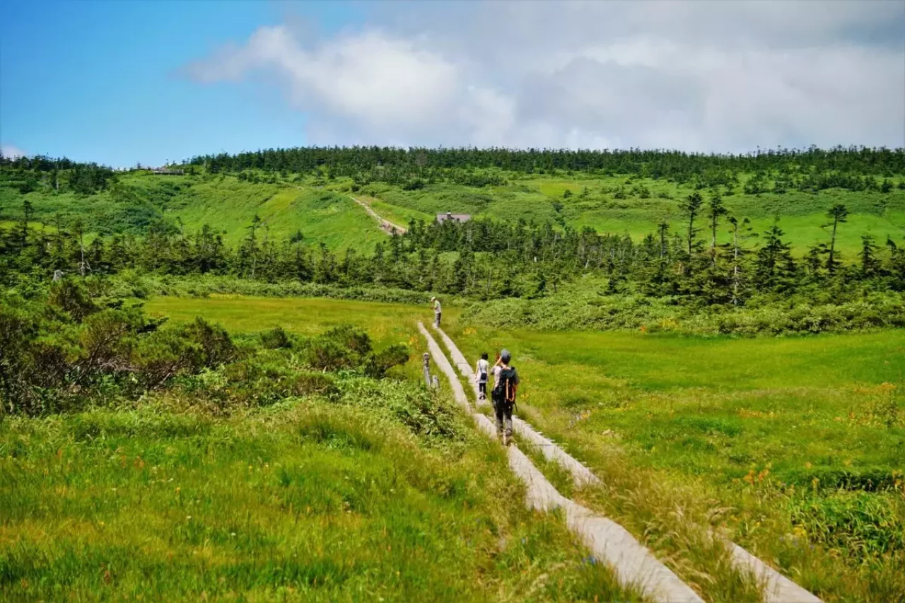 八幡平の木道を歩く登山者 出典:PIXTA
八幡平 登山