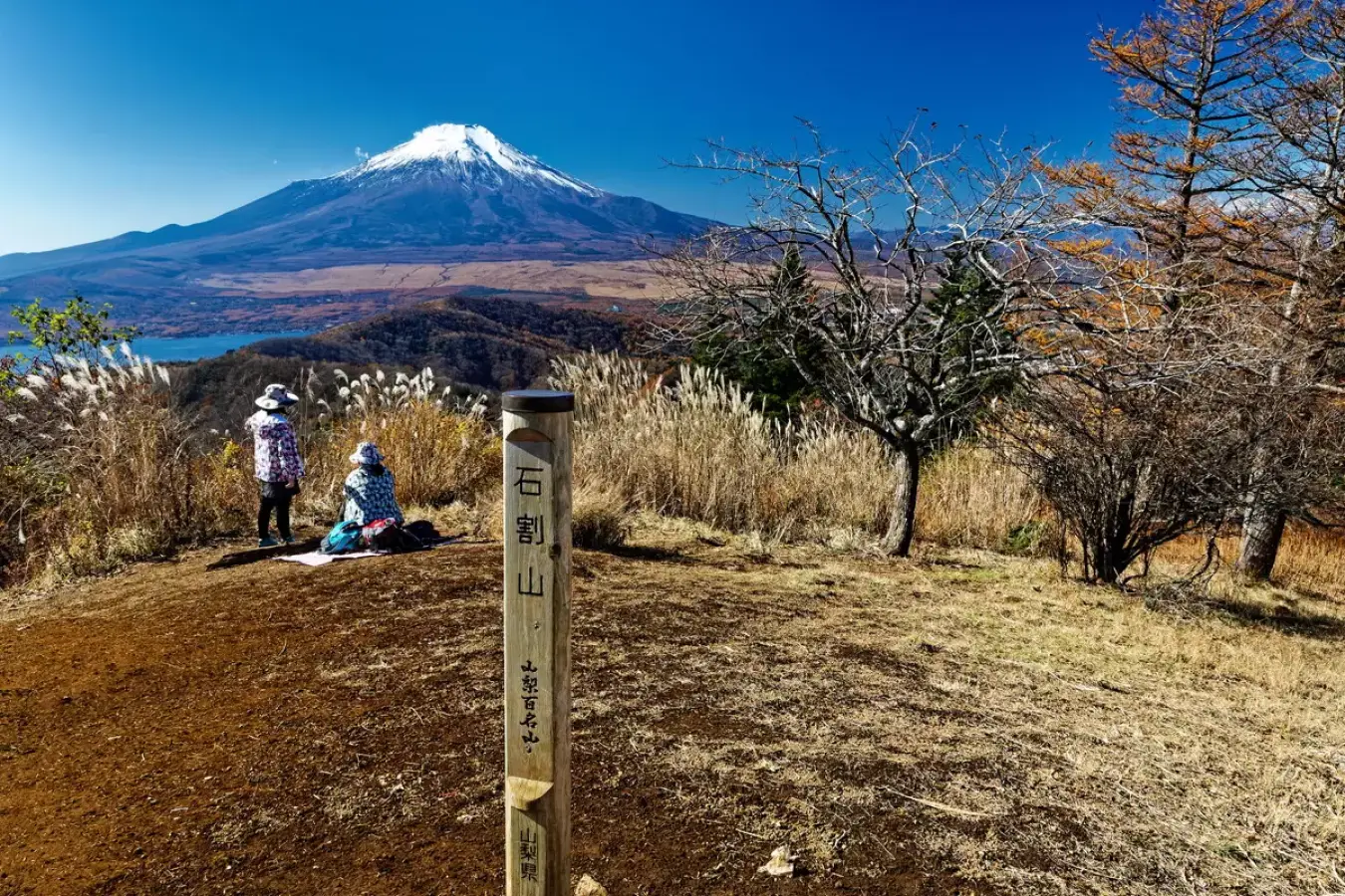 【登山初心者必見】初めての登山-山を選ぶときの条件とおすすめの山