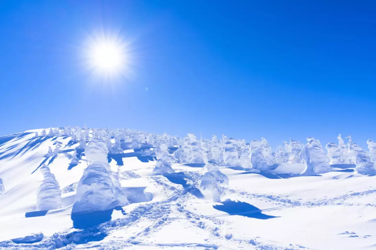 山形蔵王の樹氷と青空 山形県山形市
