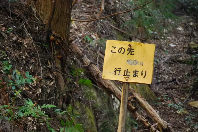 立て看板
登山 遭難