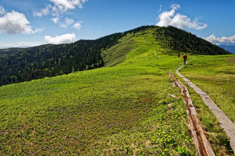 夏の会津駒ヶ岳山頂