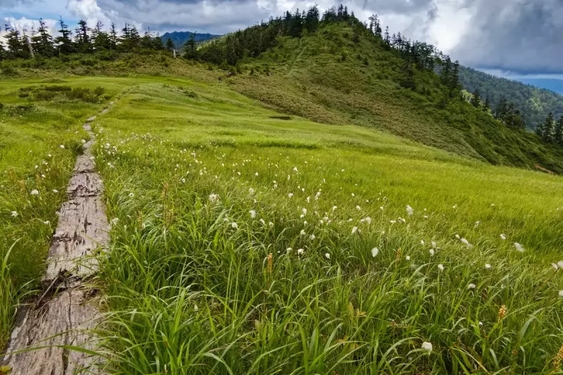 ワタスゲ咲く会津駒ヶ岳・大津岐峠への稜線