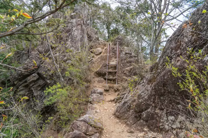 鋸山のハシゴ