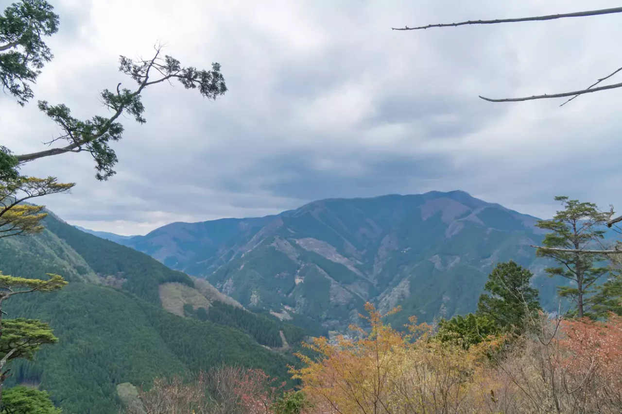 鋸山登山道から見える眺望