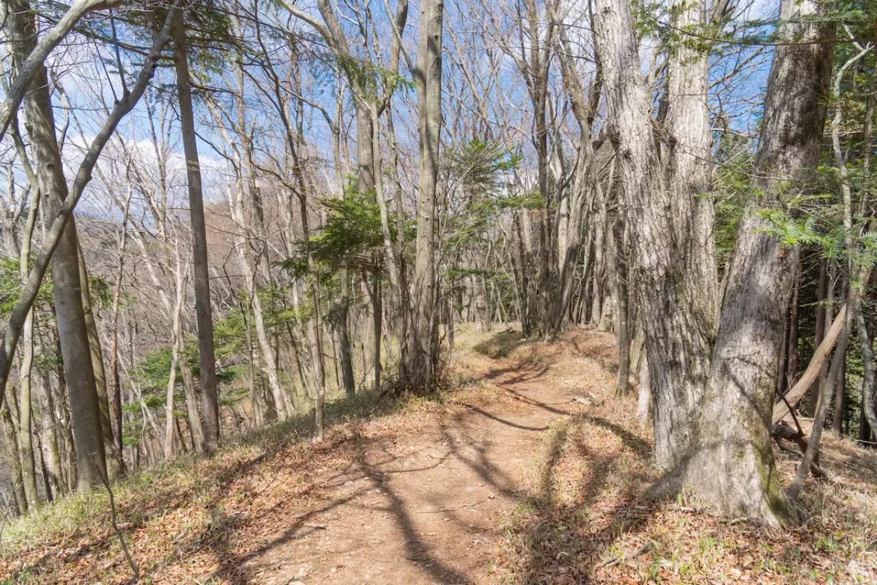 鋸山と大岳山の稜線