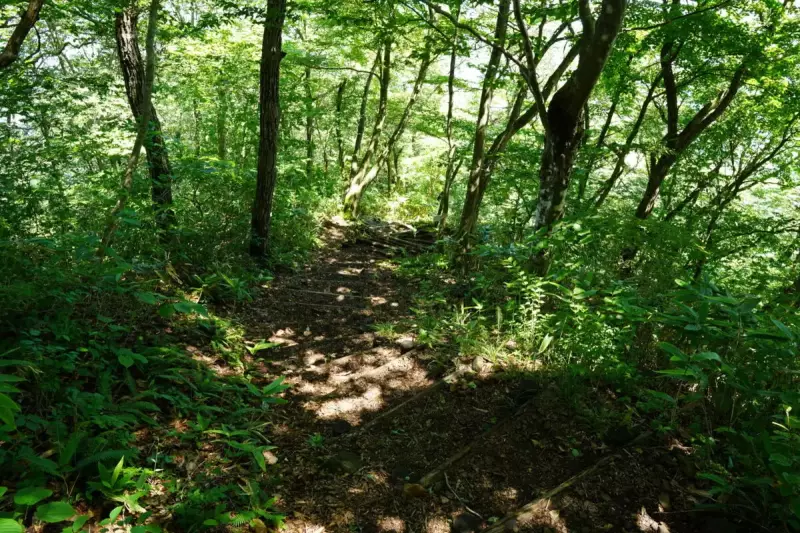 薬莱山の登山道
薬莱山 登山