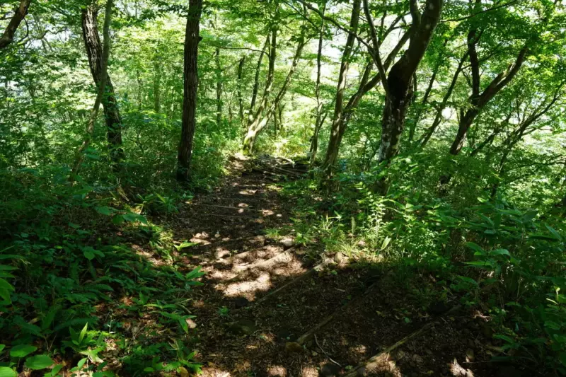 薬莱山の登山道
薬莱山 登山