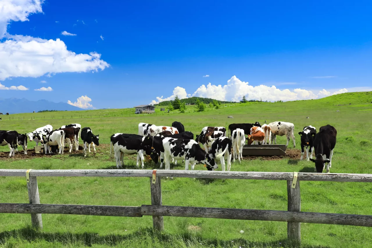 初心者向け登山