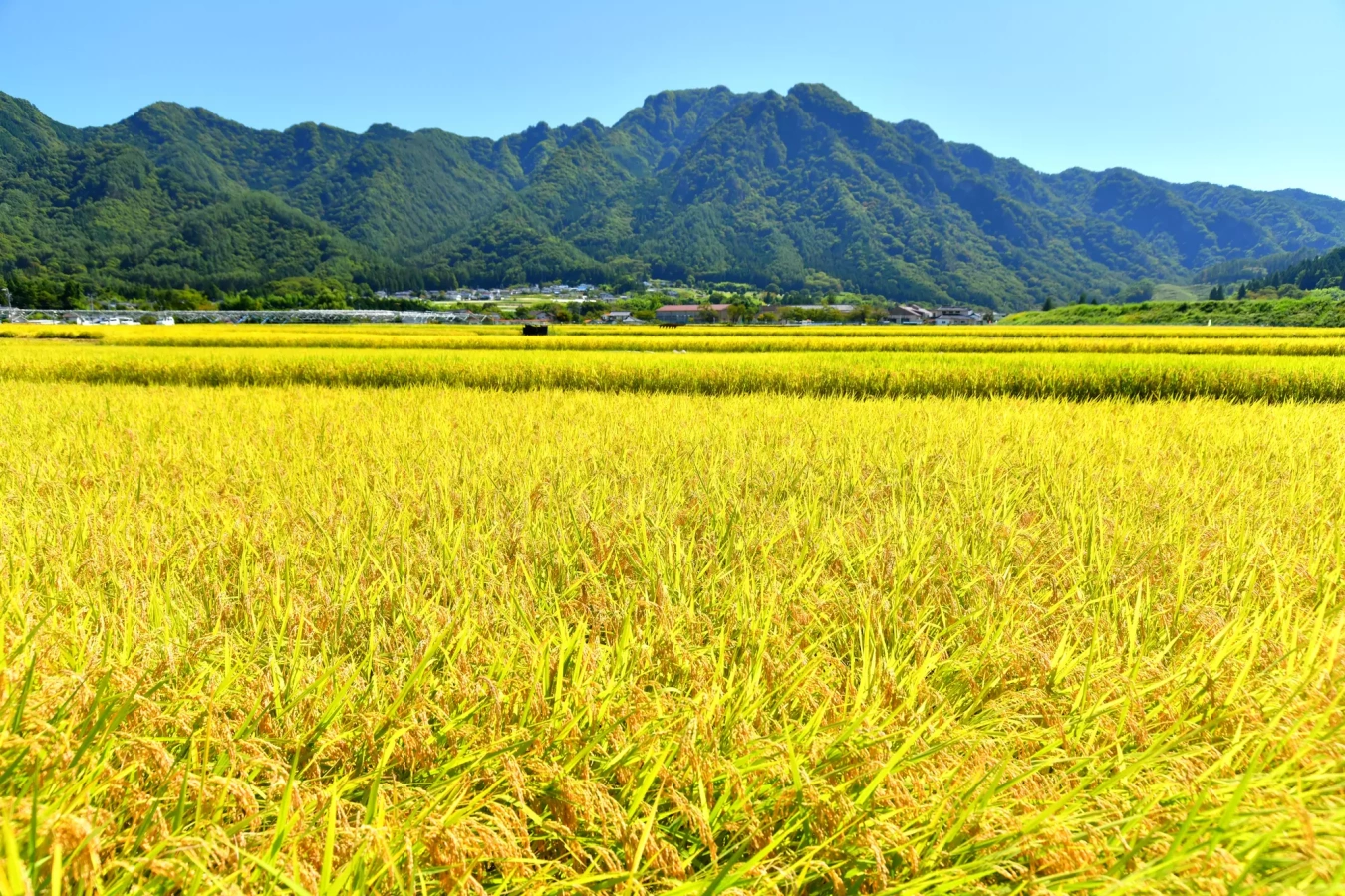 【日帰り登山】信州の鎌倉で歴史を感じる独鈷山!初心者におすすめの難易度別ルート紹介