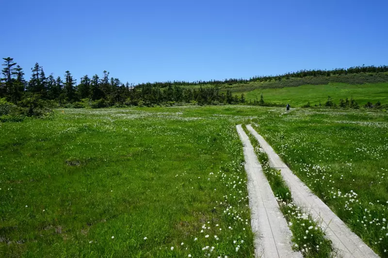【八幡平登山】湿原と高山植物が織りなす自然庭園を歩こう|ルート紹介から探す|登山・トレラン・山スキーマガジン「山旅旅」