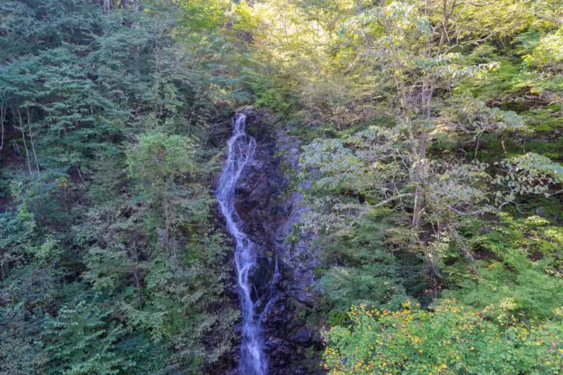 三頭大滝
