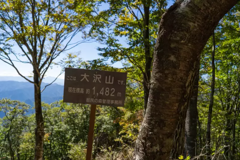 大沢山