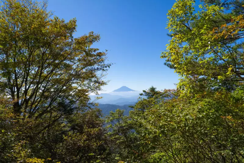 三頭山 山頂 眺望