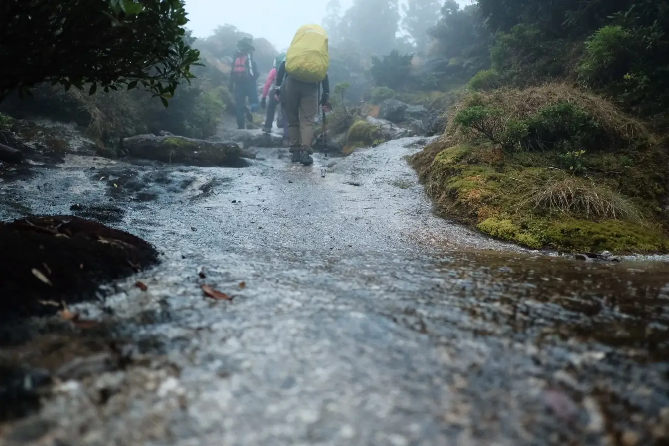 登山初心者も安心!レインウェア選びのポイントとおすすめ人気モデル15選