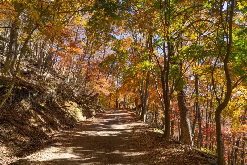 自然を親しむ東海自然歩道の一部