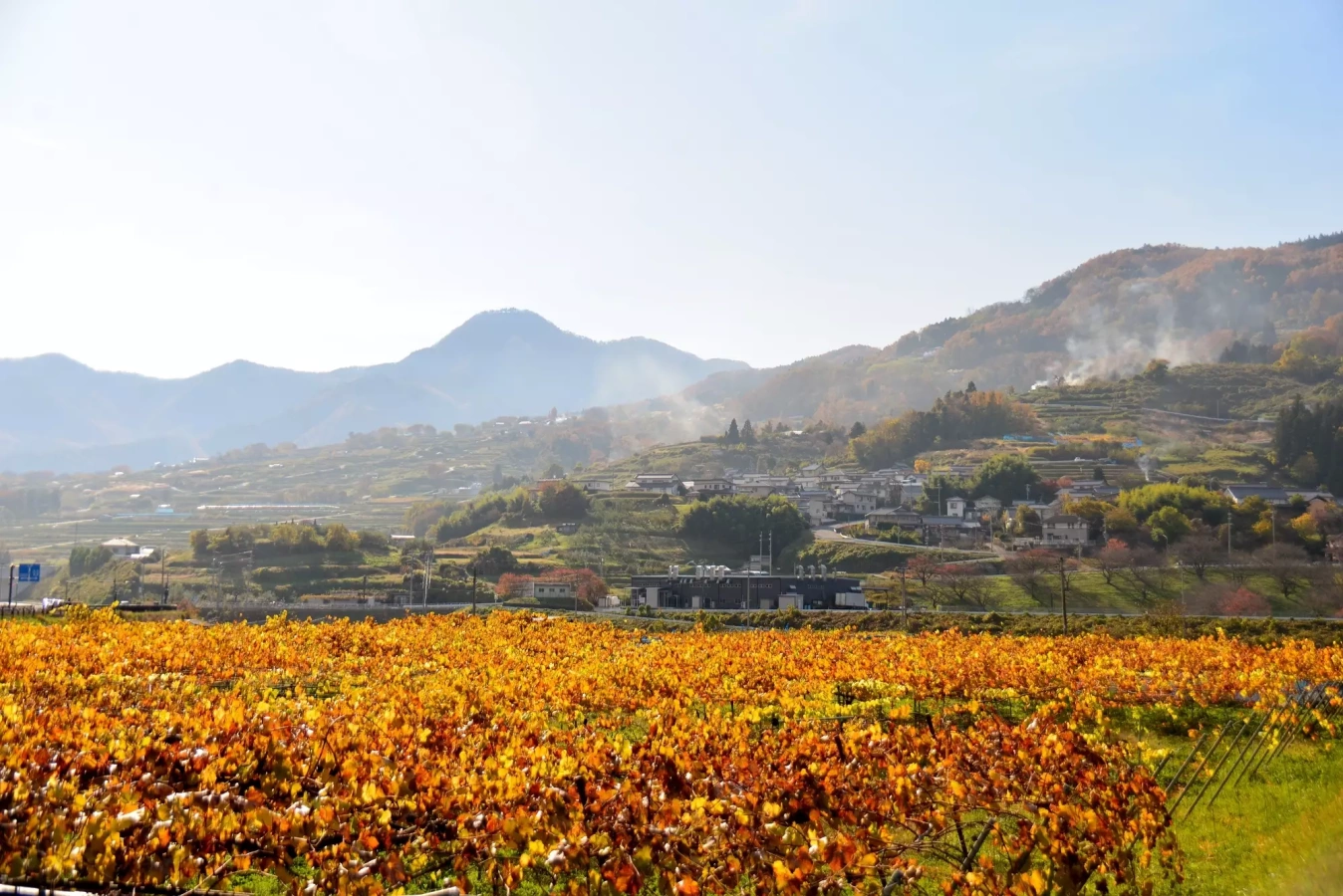 【登山初心者必見!】姨捨の棚田と善光寺平を眺める冠着山の難易度別登山コース紹介