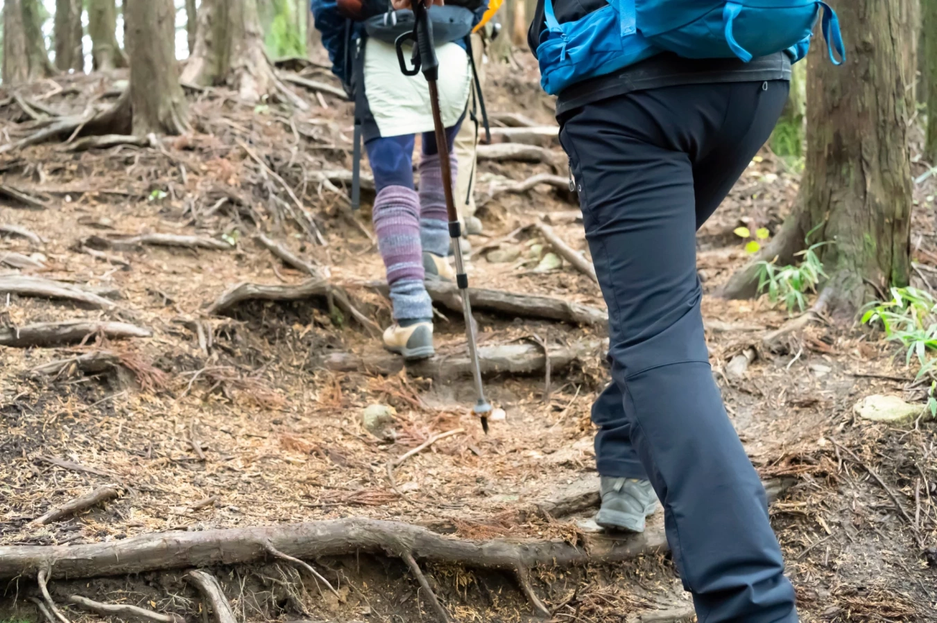 【冬の低山登山の服装】レイヤリングのポイントとおすすめアイテム30選