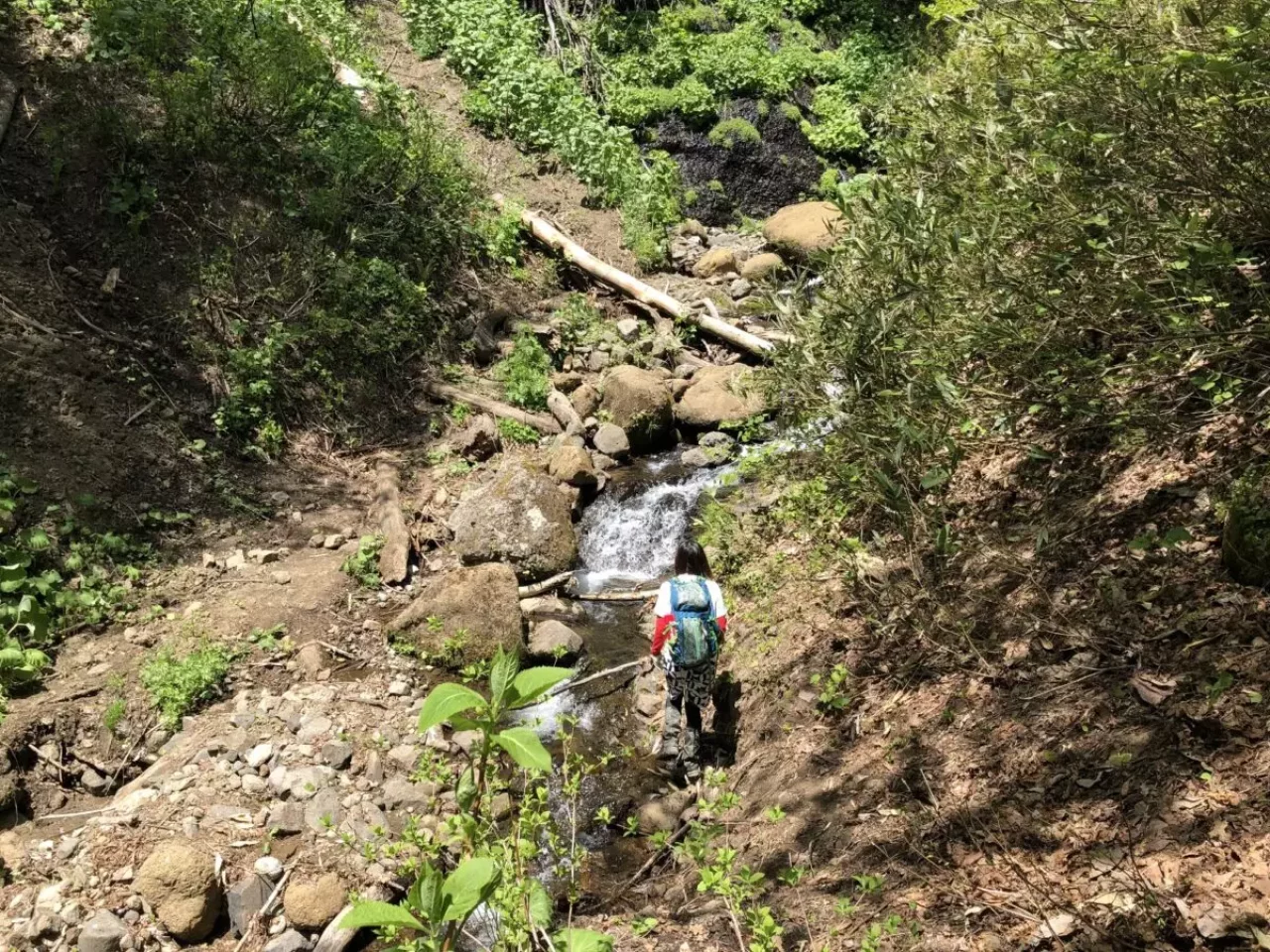 登山道と女性ハイカー
登山 遭難