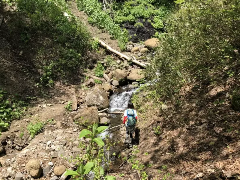 登山道と女性ハイカー
登山 遭難