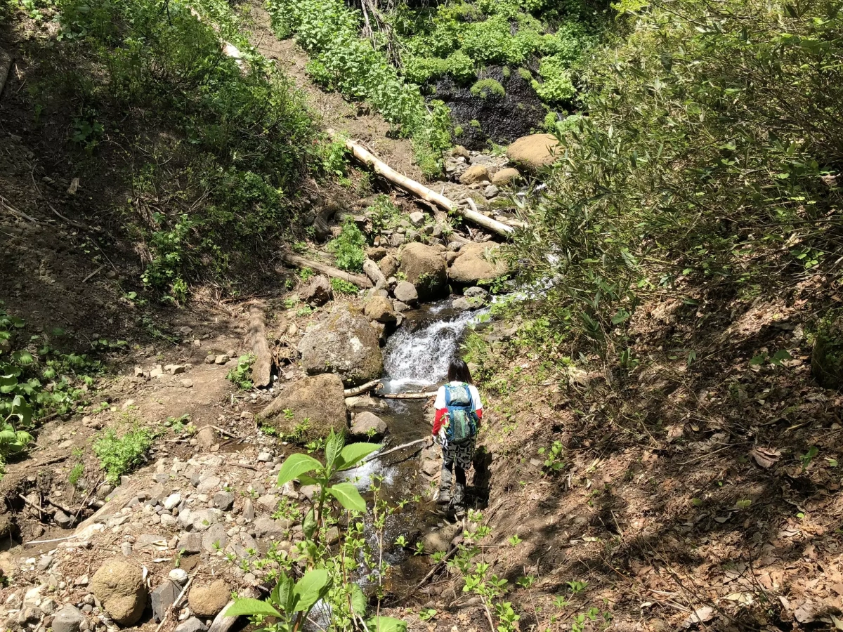山で遭難したら登れ!理由とあわせて道迷い時の対処法をご紹介