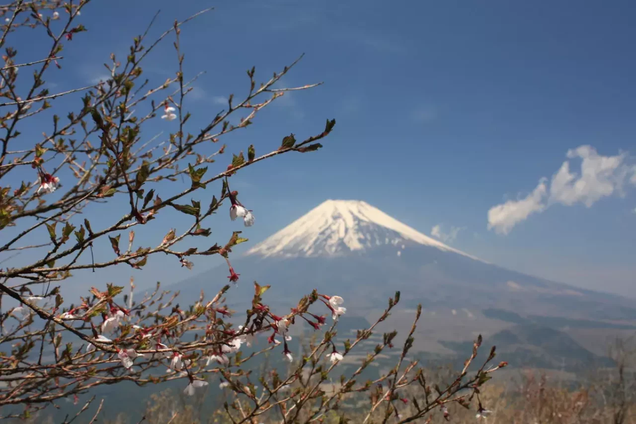 一年中四季折々の景色を楽しめる 越前岳の特徴・魅力