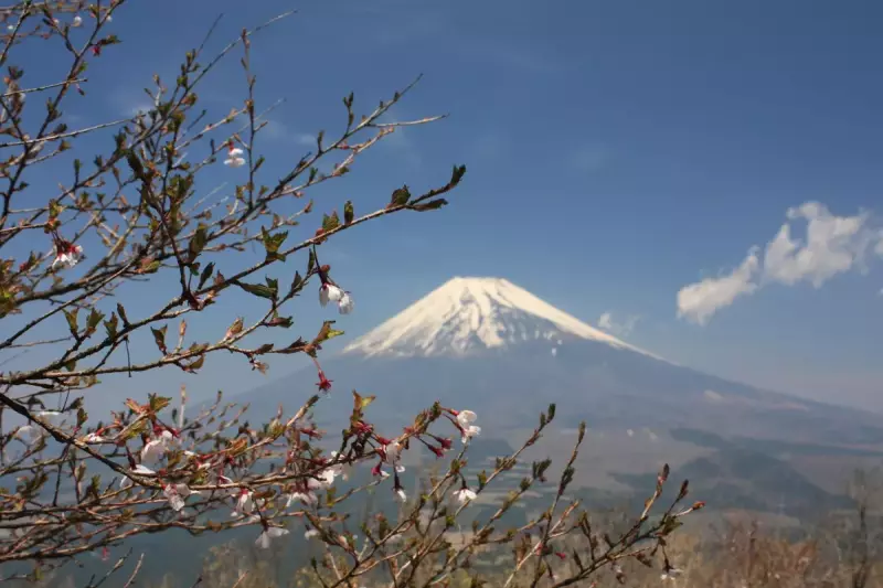 一年中四季折々の景色を楽しめる 越前岳の特徴・魅力