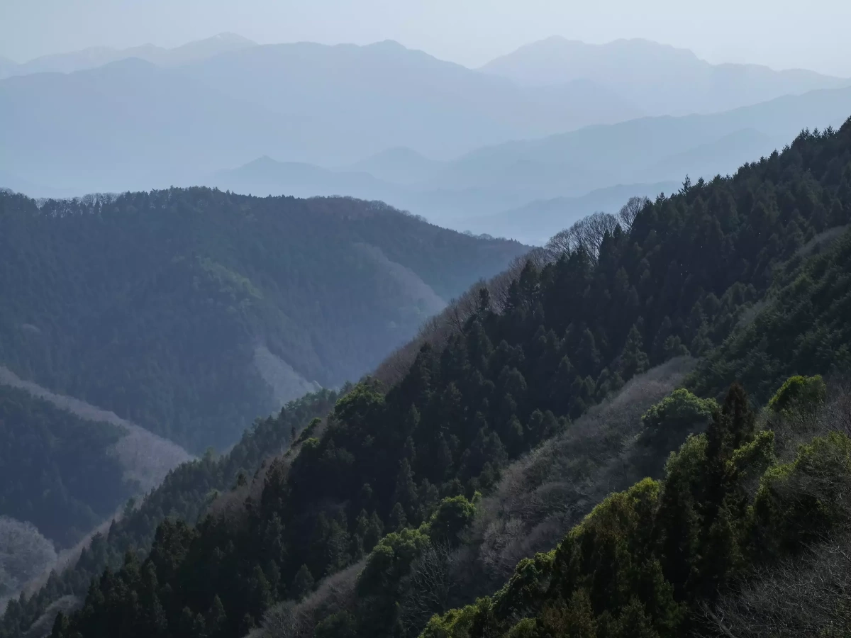 【日帰り登山】 奥多摩山域にある花の百名山!生藤山の難易度別ルート紹介