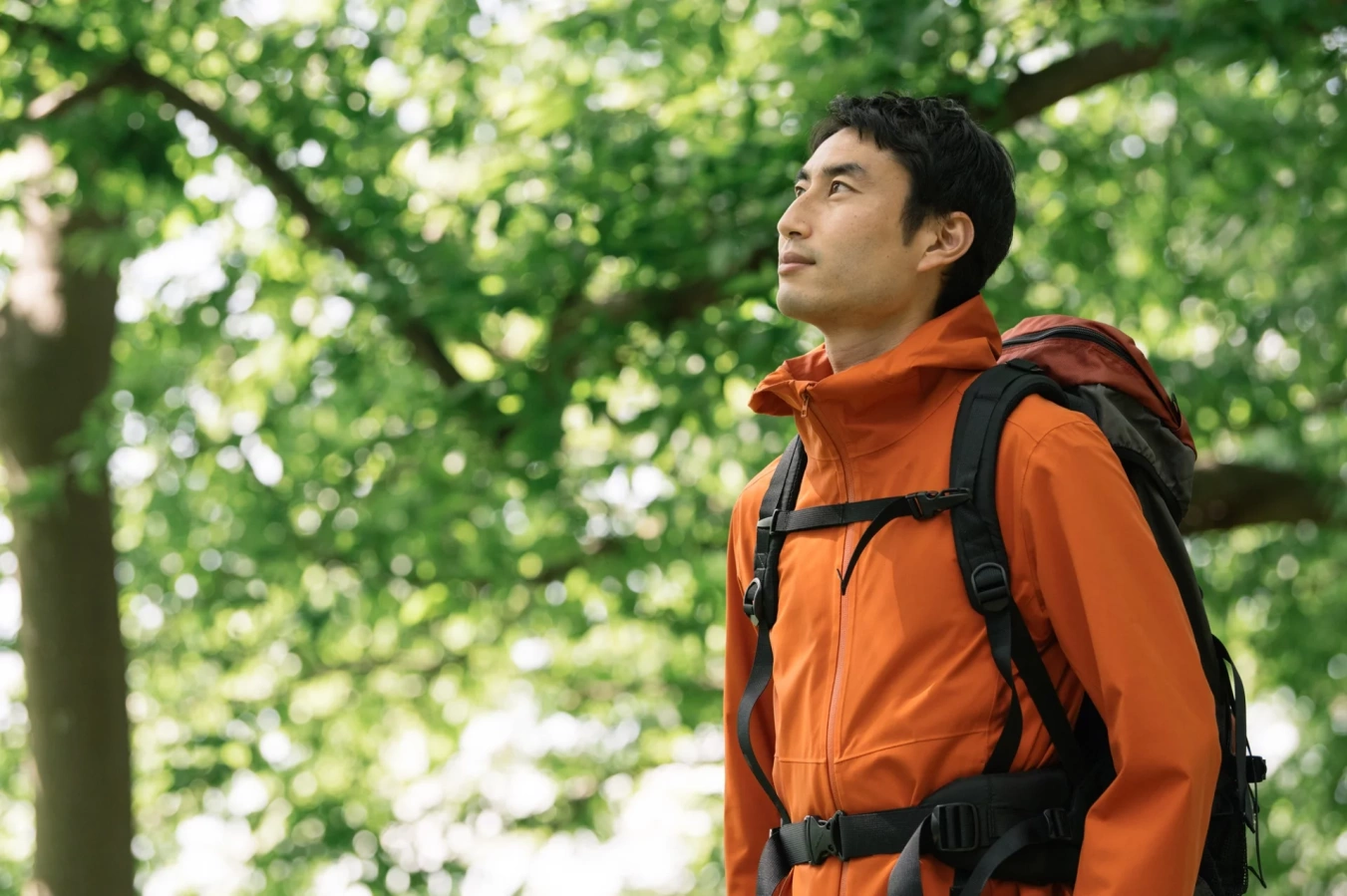 【2024年版】登山で活躍するソフトシェルジャケット・選び方やおすすめ製品を紹介