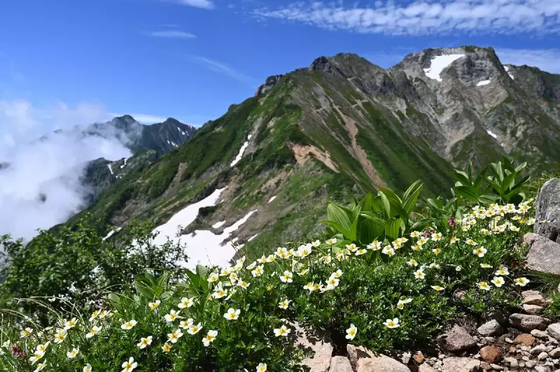 五竜岳登山-爽快な稜線歩きを楽しむ難易度別ルート紹介|ルート紹介から探す|登山・トレラン・山スキーマガジン「山旅旅」