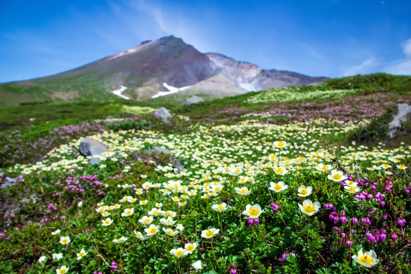初心者でも登れる!関東の日本百名山で春夏におすすめの山7選