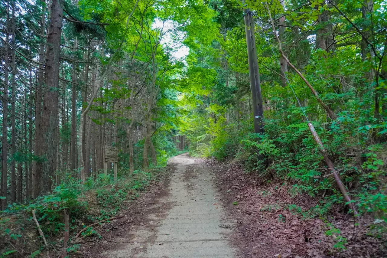 鋸山登山道