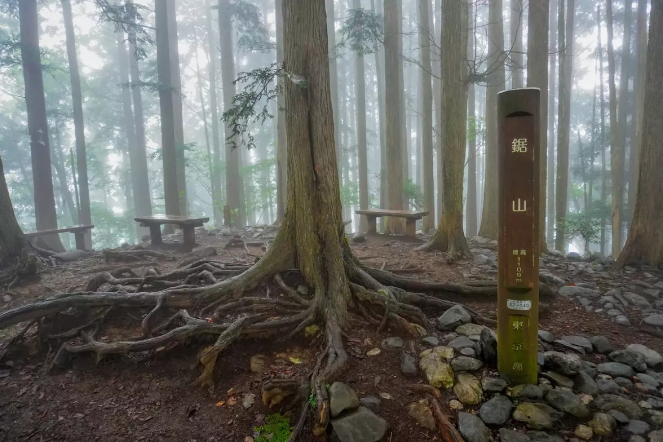 登山口は駅から5分!鋸山の大自然を味わいつくす難易度別ルート紹介